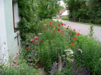 Vorgarten bei Dieter Adam