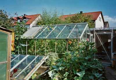 Gewchshaus bei Anni Schubert